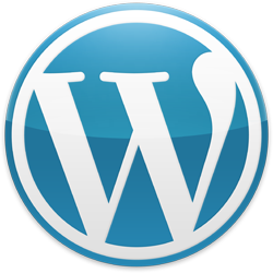 CT wordpress websites