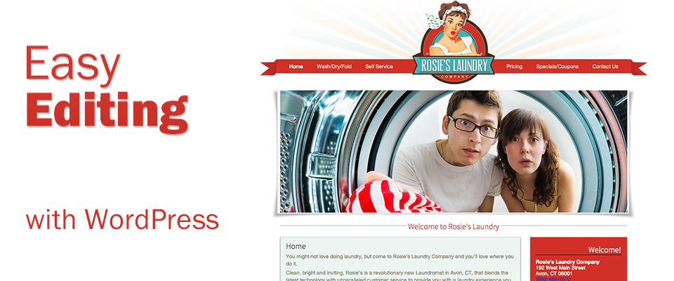 Easy WordPress Website Editing